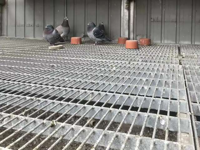 割舍地网应用案例